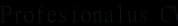 Profesionalus CV: official brand icon